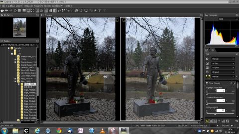 Bild: Im linken Programmfenster von Capture NX-D ist das Originalfoto zu sehen, im rechten Programmfenster das nachbearbeitete und ausbelichtete Foto. Klicken Sie auf das Bild um es zu vergrößern.