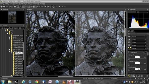 Bild: Die Detailansicht innerhalb von Capture NX-D zeigt die Unterschiede zwischen RAW Datei und ausbelichtetem Foto. Klicken Sie auf das Bild um es zu vergrößern.