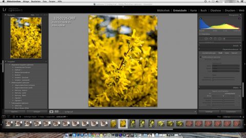 Bild: Adobe Lightroom unterstützt grundsätzlich keine Objektivkorrekturen der Kameras und Objektive von OLYMPUS, kann die Rohdaten aber lesen. Klicken Sie auf das Bild um es zu vergrößern.