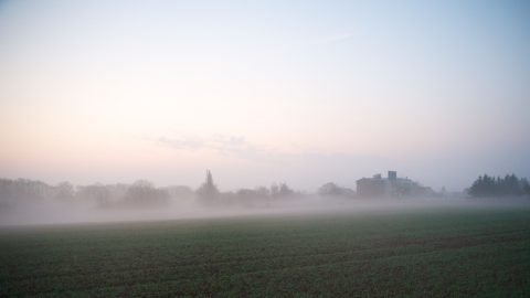 Bild: Dieses Foto wurde mit der NIKON D700 und dem Objektiv TAMRON SP 24-70mm F/2.8 Di VC USD mit einer ISO 5000 im RAW Format aufgenommen. Entwickelt wurde das RAW Foto mit Apple Aperture 3.