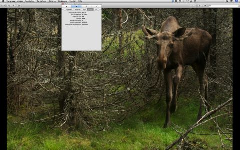 Bild: Die unter Mac OS X standardmäßig installierte App "Vorschau" liest die EXIF Dateien dieser Kameras vollständig aus, auch die Anzahl der Auslösungen.