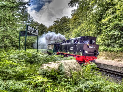 Bild: Die Kleinbahn Rasender Roland am Haltepunkt Jagdschloss Granitz bei Binz auf der Insel Rügen. OLYMPUS OM-D E-M5 mit M.ZUIKO DIGITAL ED 12‑40mm 1:2.8. ISO 200 ¦ f/7,1 ¦ 12 mm ¦ 1/100 s ¦ kein Blitz. Klicken Sie auf das Bild um es zu vergrößern.