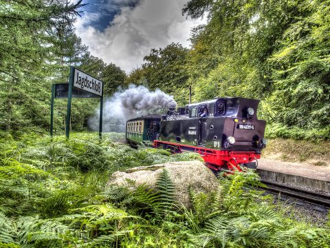 Bild: Die Kleinbahn Rasender Roland am Haltepunkt Jagdschloss Granitz bei Binz auf der Insel Rügen. OLYMPUS OM-D E-M5 mit M.ZUIKO DIGITAL ED 12‑40mm 1:2.8. ISO 200 ¦ f/7,1 ¦ 12 mm ¦ 1/100 s ¦ kein Blitz. Klicken Sie auf das Bild um es zu vergrößern.