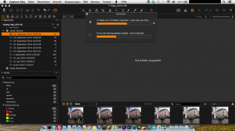 Bild: Der Import von RAW Dateien geht bei Phase One Capture One Pro 8 relativ schnell.