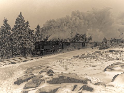 Bild: Dampfzug der Harzer Schmalspurbahn auf dem Weg zum Brockenbahnhof. OLYMPUS OM-D E-M1 mit M.ZUIKO DIGITAL ED 12‑40mm 1:2.8 ISO 200 ¦ f/5,6 ¦ 12 mm ¦ 1/500 s ¦ kein Blitz. Klicken Sie auf das Bild um es zu vergrößern.