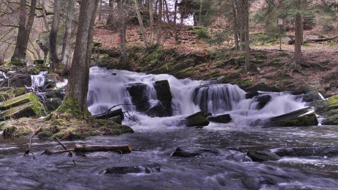 Bild: Der Selkefall bei Alexisbad im Unterharz. OLYMPUS OM-D E-M1 mit LEICA DG SUMMILUX 25 mm / F1.4. ISO 100 ¦ f/7,1 ¦ 25 mm ¦ 1/6 s ¦ kein Blitz. Klicken Sie auf das Bild um es zu vergrößern.