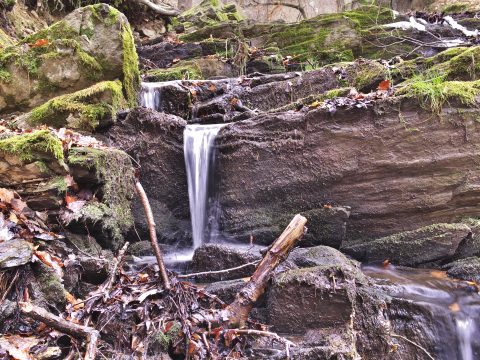 Bild: Der Selkefall bei Alexisbad im Unterharz. OLYMPUS OM-D E-M1 mit LEICA DG SUMMILUX 25 mm / F1.4. ISO 100 ¦ f/7,1 ¦ 25 mm ¦ 1 s ¦ kein Blitz. Klicken Sie auf das Bild um es zu vergrößern.