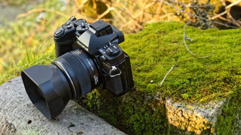 Bild: OLYMPUS OM-D E-M1 mit LEICA DG SUMMILUX 25 mm / F1.4.