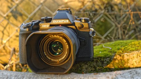 Bild: OLYMPUS OM-D E-M1 mit LEICA DG SUMMILUX 25 mm / F1.4.