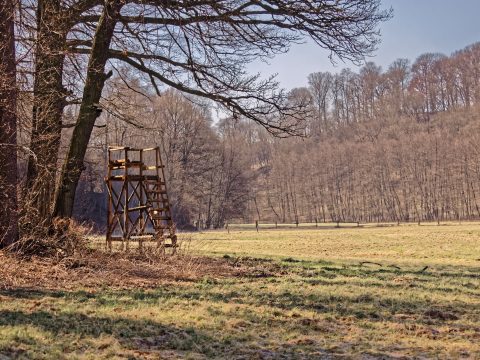 Bild: Am Vormittag des Ostersonntag 2015 auf der Einewiese beim Forsthaus Volkmannrode. OLYMPUS OM-D E-M1 mit M.ZUIKO DIGITAL ED 12‑40mm 1:2.8 ISO 200 ¦ f/2,8 ¦ 40 mm ¦ 1/6.400 s ¦ kein Blitz. Klicken Sie auf das Bild um es zu vergrößern.