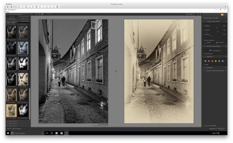 Bild: Google Nik Collection - Silver Efex Pro 2 unter Windows 10. Links das Originalfoto im Format JPEG. Rechts das nachbearbeitete Foto im Format JPEG.