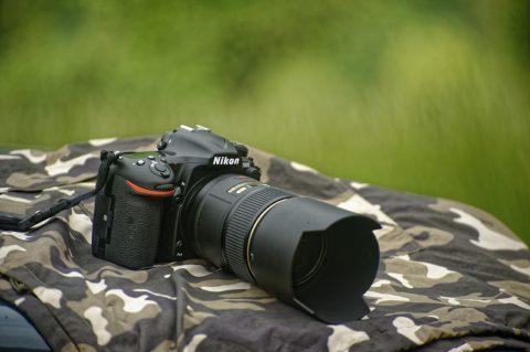 Bild: Die NIKON D500 mit Objektiv AF-S VR MICRO-NIKKOR 105 MM 1:2,8G IF-ED.