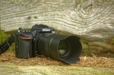 Bild: Die NIKON D500 mit Objektiv AF-S VR MICRO-NIKKOR 105 MM 1:2,8G IF-ED. Klicken Sie auf das Bild um es zu zu vergrößern.