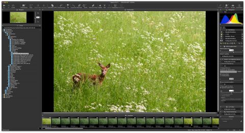 Bild: NIKON CAPTURE NX-D auf einem MacBook Pro unter OS X 10.11.5. Klicken Sie auf das Bild um es zu vergrößern.