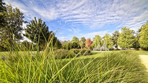 Bild: Unterwegs im LaGa Park in Aschersleben mit der NIKON D810 und dem Weitwinkelobjektiv irix 11 mm f/4.0. Die leichten Weitwinkelverzeichnungen wurden mit DxO Optics Pro 11 korrigiert. NIKON D810 mit irix 11 mm f/4.0. ISO 200 ¦ f/7.1 ¦ 11 mm ¦ 1/500 s ¦ kein Blitz. Klicken Sie auf das Bild um es zu vergrößern.