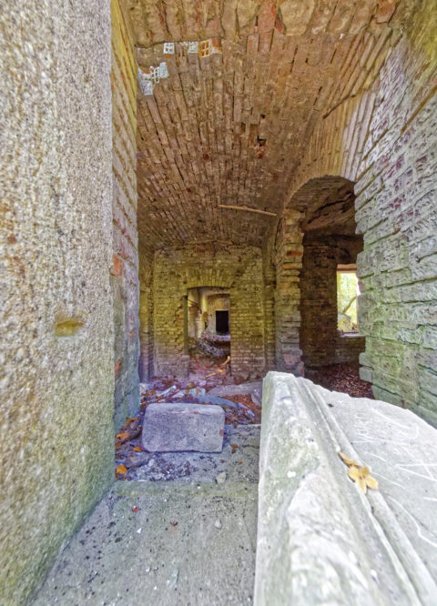 Bild: Die Ruinen des Schlosses Dwasieden am Klocker Ufer in der Nähe des Hafens von Sassnitz. Blick in den Keller des Schlosses. Klicken Sie auf das Bild um es zu vergrößern.