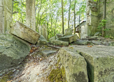 Bild: Die Ruinen des Schlosses Dwasieden am Klocker Ufer in der Nähe des Hafens von Sassnitz. Blick auf den nordöstlichen Pavillon des Schlosses. Klicken Sie auf das Bild um es zu vergrößern.