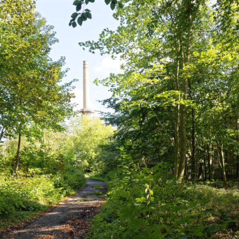 Bild: Schornstein des zentralen Heizkraftwerkes aus der Zeit des 18. Marinepionierbataillon der NVA auf dem ehemals militärisch genutzten Areal des Schlosses Dwasieden in der Nähe des Hafens von Sassnitz. Klicken Sie auf das Bild um es zu vergrößern.