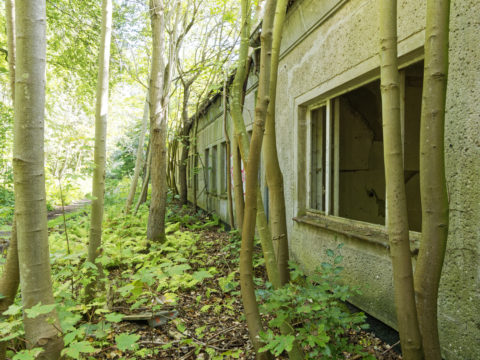 Bild: Baracke aus der Zeit des 18. Marinepionierbataillon der NVA auf dem ehemals militärisch genutzten Areal des Schlosses Dwasieden in der Nähe des Hafens von Sassnitz. Klicken Sie auf das Bild um es zu vergrößern.