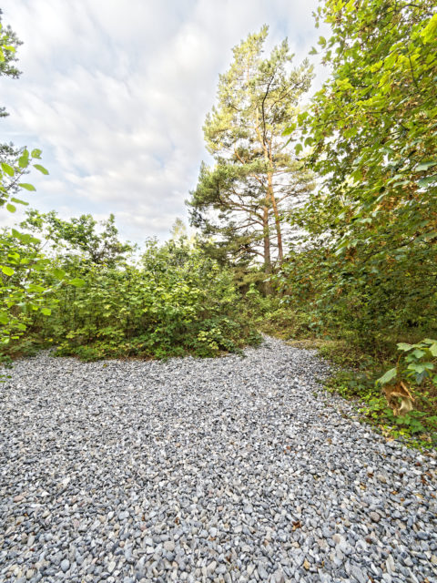 Bild: Unterwegs auf den Feuersteinfeldern zwischen Neu Mukran und Prora auf der Insel Rügen. Klicken Sie auf das Bild um es zu vergrößern.