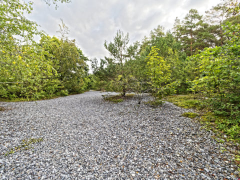 Bild: Unterwegs auf den Feuersteinfeldern zwischen Neu Mukran und Prora auf der Insel Rügen. Klicken Sie auf das Bild um es zu vergrößern.