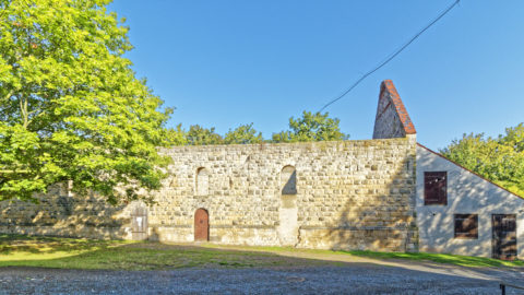 Bild: Ruine auf dem Gelände der Konradsburg bei Ermsleben (Stadt Falkenstein im Harz) im Unterharz. Klicken Sie auf das Bild um es zu vergrößern.