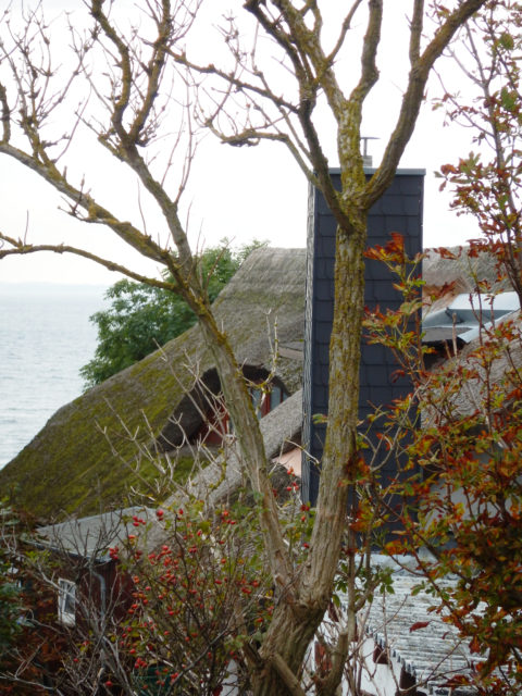 Bild: Am Morgen unterwegs in den Gassen des Fischerdorfes Vitt auf Rügen. Klicken Sie auf das Bild um es zu vergrößern.