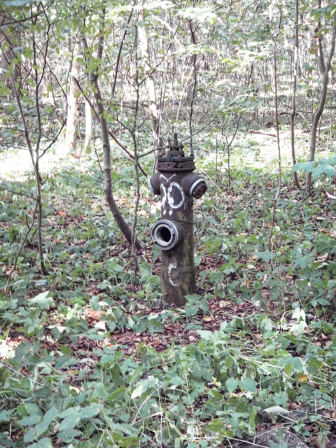 Bild: Hydrant auf dem ehemals militärisch genutzten Areal des Schlosses Dwasieden in der Nähe des Hafens von Sassnitz. Klicken Sie auf das Bild um es zu vergrößern.