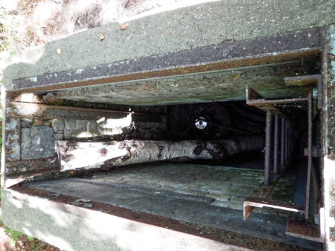 Bild: Bis heute sind Steilufer am Klocker Ufer am Schloss Dwasieden in der Nähe des Hafens von Sassnitz Spuren der militärischen Nutzung durch KVP und NVA zu erkennen. Dieser Bunker deutet auf eine Tankanlage hin. Klicken Sie auf das Bild um es zu vergrößern.