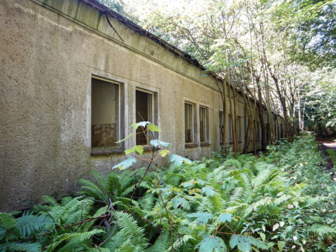 Bild: Baracke aus der Zeit des 18. Marinepionierbataillon der NVA auf dem ehemals militärisch genutzten Areal des Schlosses Dwasieden in der Nähe des Hafens von Sassnitz. Klicken Sie auf das Bild um es zu vergrößern.