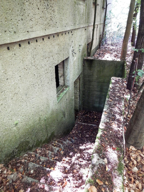 Bild: Detailansicht einer Baracke aus der Zeit des 18. Marinepionierbataillon der NVA auf dem ehemals militärisch genutzten Areal des Schlosses Dwasieden in der Nähe des Hafens von Sassnitz. Klicken Sie auf das Bild um es zu vergrößern.