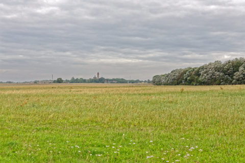 Bild: Blick vom Vitter Weg zu den Leuchttürmen des Kap Arkona. Klicken Sie auf das Bild um es zu vergrößern.