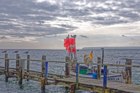 Bild: Im Hafen des Fischerdorfes Vitt auf Rügen. Die Menschen hier haben einst vom Fang der Ostseeheringe gelebt. Klicken Sie auf das Bild um es zu vergrößern.