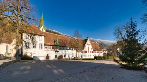 Bild: Das ehemalige Kloster Blaubeuren. Klausur und Turm der Klosterkirche. Klicken Sie auf das Bild um es zu vergrößern.