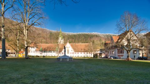 Bild: Das ehemalige Kloster Blaubeuren. Klausur und Turm der Klosterkirche. Im Hintergrund sind die Berge der Schwäbischen Alb zu sehen. Klicken Sie auf das Bild um es zu vergrößern.