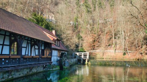 Bild: Am Blautopf in Blaubeuren. Blick auf die historische Hammerschmiede, die vom einem Teil des Abflusses des Blautopfes angetrieben wurde. Wasserkraft war neben Windkraft im Mittelalter ein wichtige Energiequelle. Wo diese nicht ausreichend zur Verfügung standen mussten Rinder, Pferde, Esel oder Menschen ran ... Klicken Sie auf das Bild um es zu vergrößern.