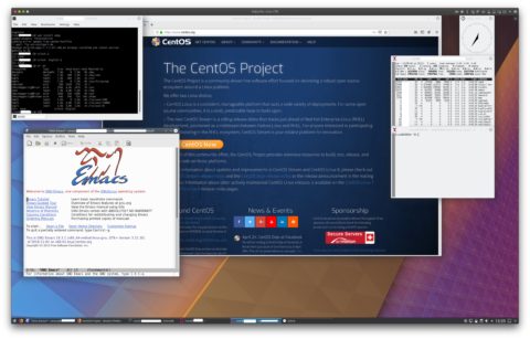 Bild: Verschiedene grafische Programme, die auf dem Webserver laufen und auf einem Linux 18.04 Kubuntu Desktop dargestellt werden. Klicken Sie auf das Bild um es zu vergrößern.