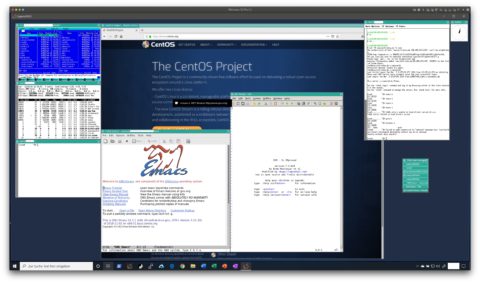 Bild: Verschiedene grafische Programme, die auf dem Webserver laufen und auf einem Windows 10 Desktop mit dem Winwow Manager twm von Cygwin dargestellt werden. Klicken Sie auf das Bild um es zu vergrößern.